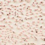 AMACO Crawls - CR-51 - Speckled Pink - 1  pint